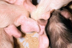 miljko | iStockPhoto.com