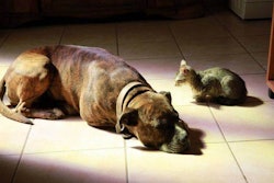 (Karakoram | Dreamstime)