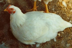 Laura Glover, Freeimages.com