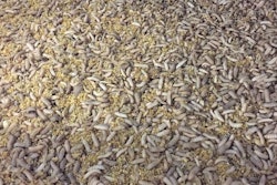 Courtesy EnviroFlight