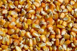 Luis Rock, Freeimages.com