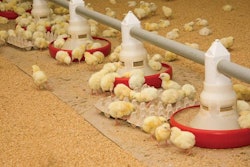 Oleg Kharkhan, Dreamstime.com