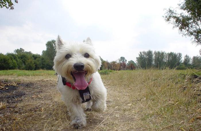 freeimages.com | Dan Mitchell