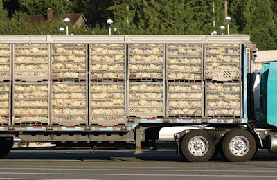More research is needed to determine the best means to minimize or eliminate transport coop contamination. | Burl Jantzen, iStockPhoto.com