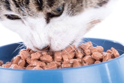 Photo by Thodona | Fotolia.com