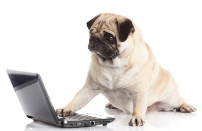 (E.W.; Bigstock.com)