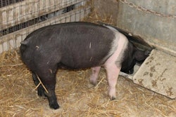 photo by Andrea Gantz | Flickr.com