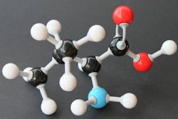 A model of the L-valine molecule | Bin im Garten | Wikimedia Commons