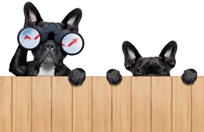 Halfway through 2016, we take a look at the industry’s predictions for pet food industry trends. | Damedeeso | Dreamstime.com