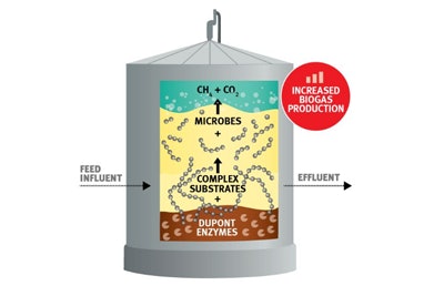Du Pont Optimash Ad 100 Enzyme