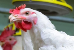 Yurii Bukhanovskyi | Bigstock