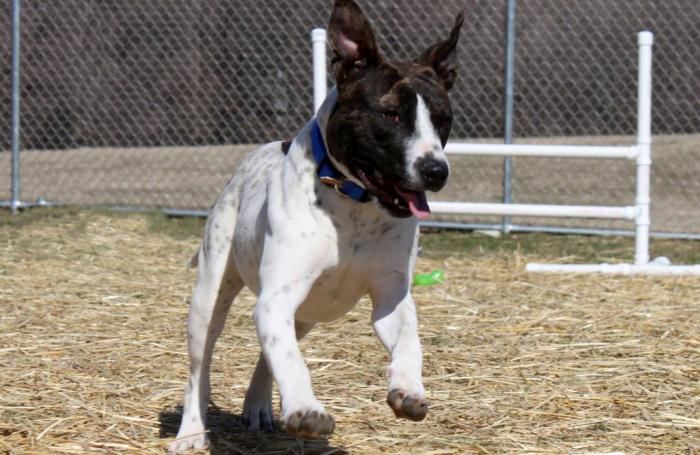 Andrea Gantz | Flickr