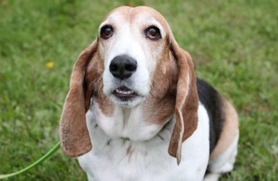 photo by Andrea Gantz