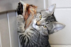 photo by Andrea Gantz