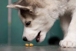 Photo by melis | bigstockhoto.com