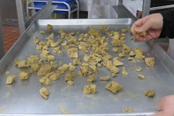 Photo by Debbie Phillips-Donaldson