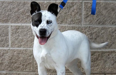 photo by Andrea Gantz