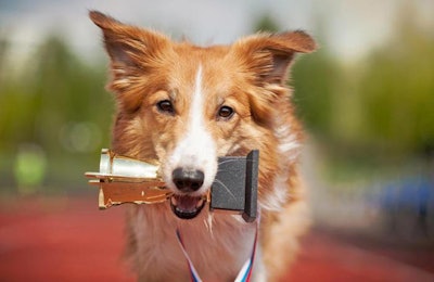 Photo by Ksuksa | BigStockPhoto.com