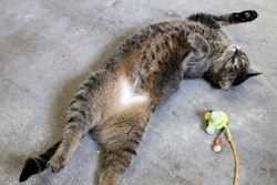 photo by Andrea Gantz