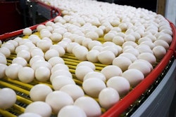 How do major food brands decide on how they should change to satisfy consumer demand? | Austin Alonzo