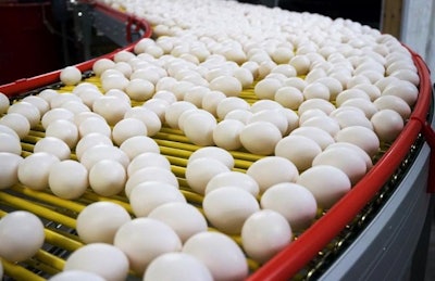How do major food brands decide on how they should change to satisfy consumer demand? | Austin Alonzo