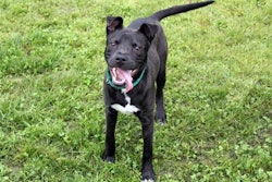 photo by Andrea Gantz