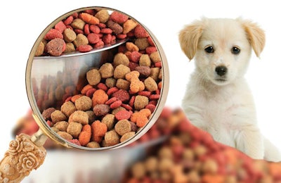 As trends become more complex for pet food formulators, research is keeping on top of nutritional options for meeting consumer needs. | iStockPhoto/gvictoria