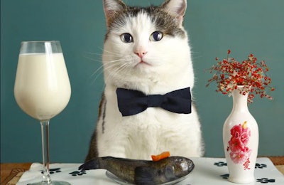 Ulianna | BigStockPhoto