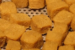 A recently extruded pet treat | Courtesy Extrutech