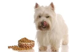 Photo by Willee Cole | Big StockPhoto