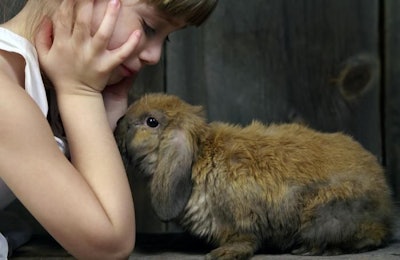 Photo by woogies, BigStock.com