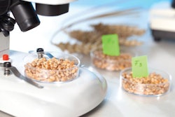 motorolka, Bigstock.com