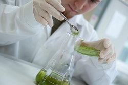 The phytogenic feed additive market is poised to reach $2 billion in sales by 2030. | BIOMIN