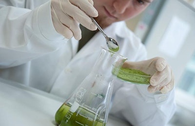 The phytogenic feed additive market is poised to reach $2 billion in sales by 2030. | BIOMIN