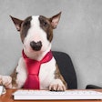 (Minerva Studio, BigStock.com)