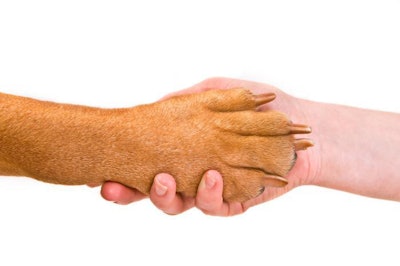 Photo by Vitaly Titov, Bigstock.com