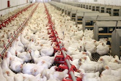 Branex, Dreamstime.com