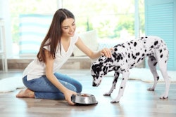 Photo by Yastremska | Bigstock.com