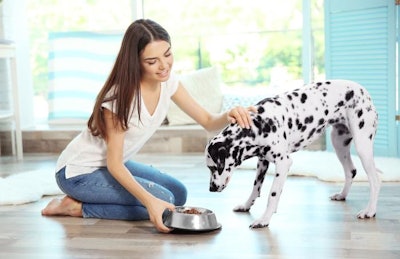 Photo by Yastremska | Bigstock.com
