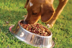 pxhidalgo | BigStockPhoto.com