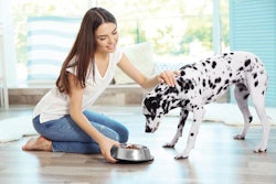 Human trends and desires are influencing the pet food industry more than ever, and manufacturers must keep up with increasing innovation and a constant ear to the ground. | Africa Studio.Adobe.com
