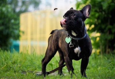 photo by kozorog | BigStockPhoto
