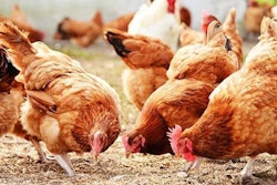 Photo courtesy of European Bank for Reconstruction and Development