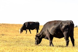 JackieNix, Bigstockphoto.com