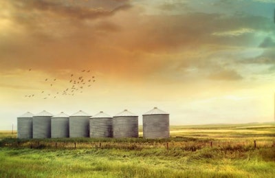 First world consumers need to understand the role genetically modified organisms can, and will, play in feeding billions of people far into the future. Otherwise, a key technology will be lost.| Bigstock.com