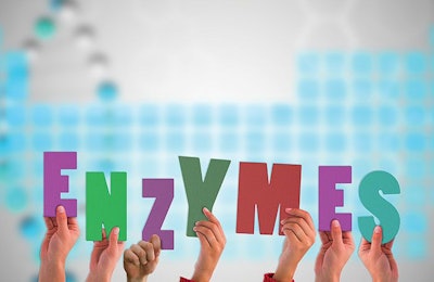 Enzymes aid digestion of expensive nutrients, but their benefits are often lost by the cost of the enzymes. | Wavebreakmedia Ltd, Dreamstime