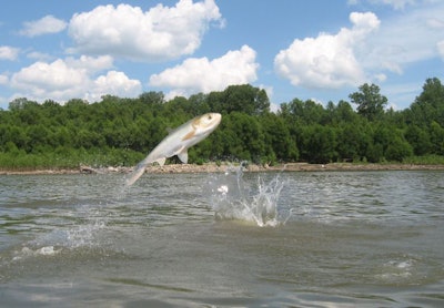 (StarLar15 | BigStock.com)