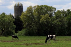 Photo by Andrea Gantz