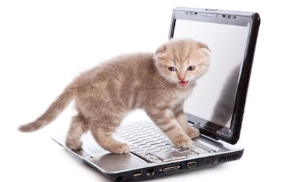(Natulrich | Bigstock.com)