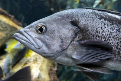 mirecca, Bigstockphoto.com